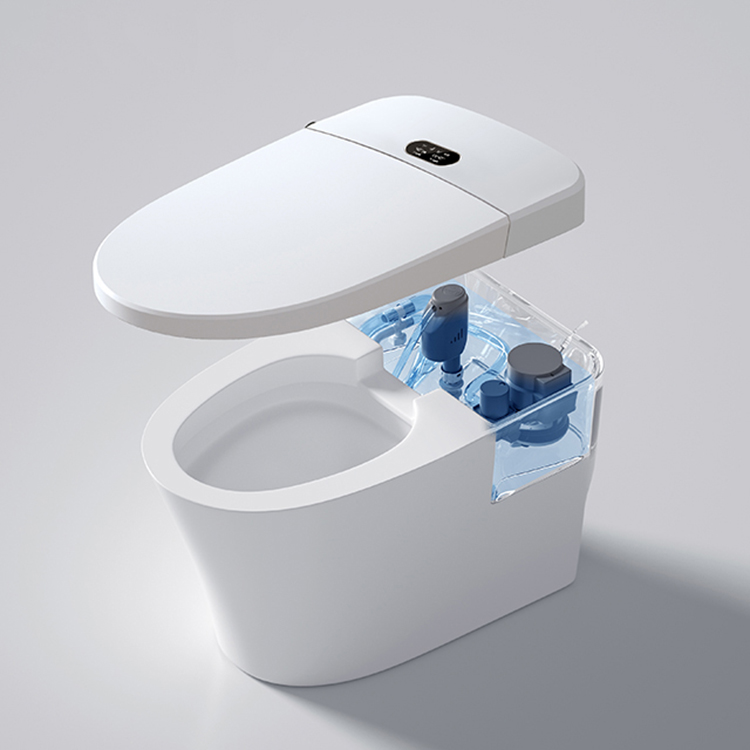Modern Smart Toilet Digital Di – Home Bathroom Ware Bewertung und Preis