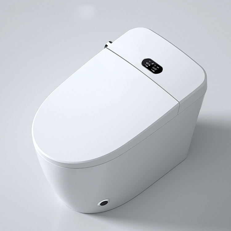 Modern Smart Toilet Digital Di – Home Bathroom Ware Bewertung und Preis