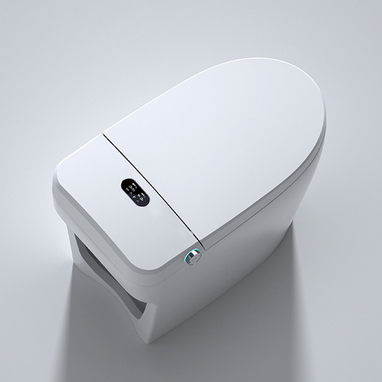 Modern Smart Toilet Digital Di – Home Bathroom Ware Bewertung und Preis