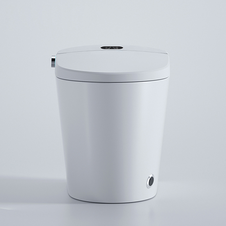 Modern Smart Toilet Digital Di – Home Bathroom Ware Bewertung und Preis