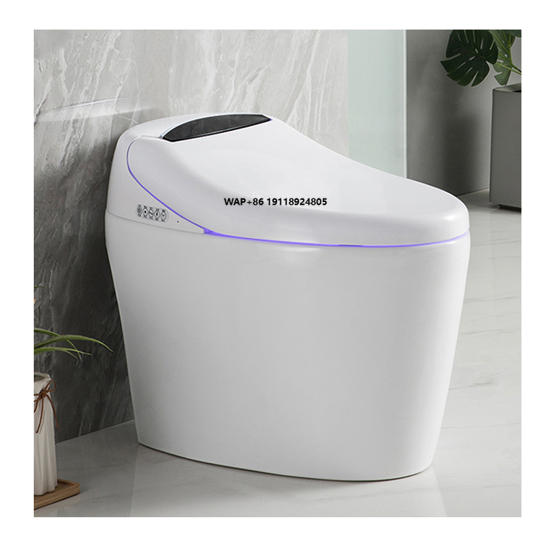 High End Automatic Flush Sanit – Home Bathroom Ware Bewertung und Preis