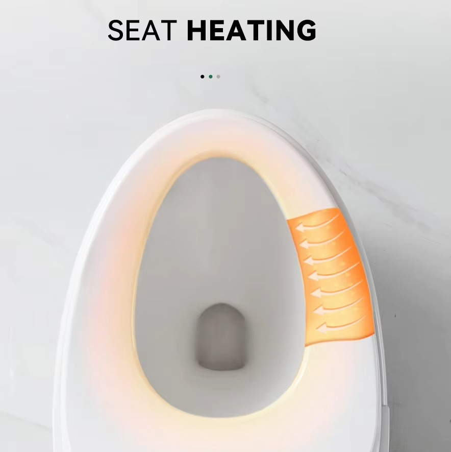 High End Automatic Flush Sanit – Home Bathroom Ware Bewertung und Preis