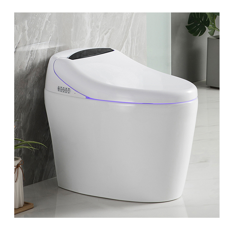 High-end Automatic Flush, Sani – Home Bathroom Ware Bewertung und Preis