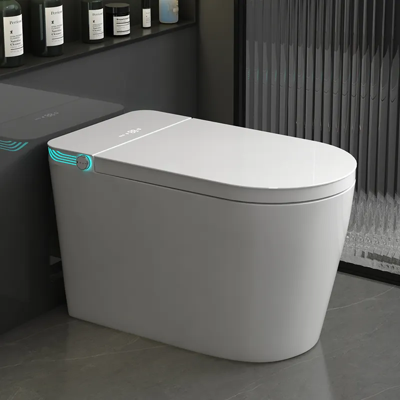 Ceramic Supplier One Piece Sma – Home Bathroom Ware Bewertung und Preis