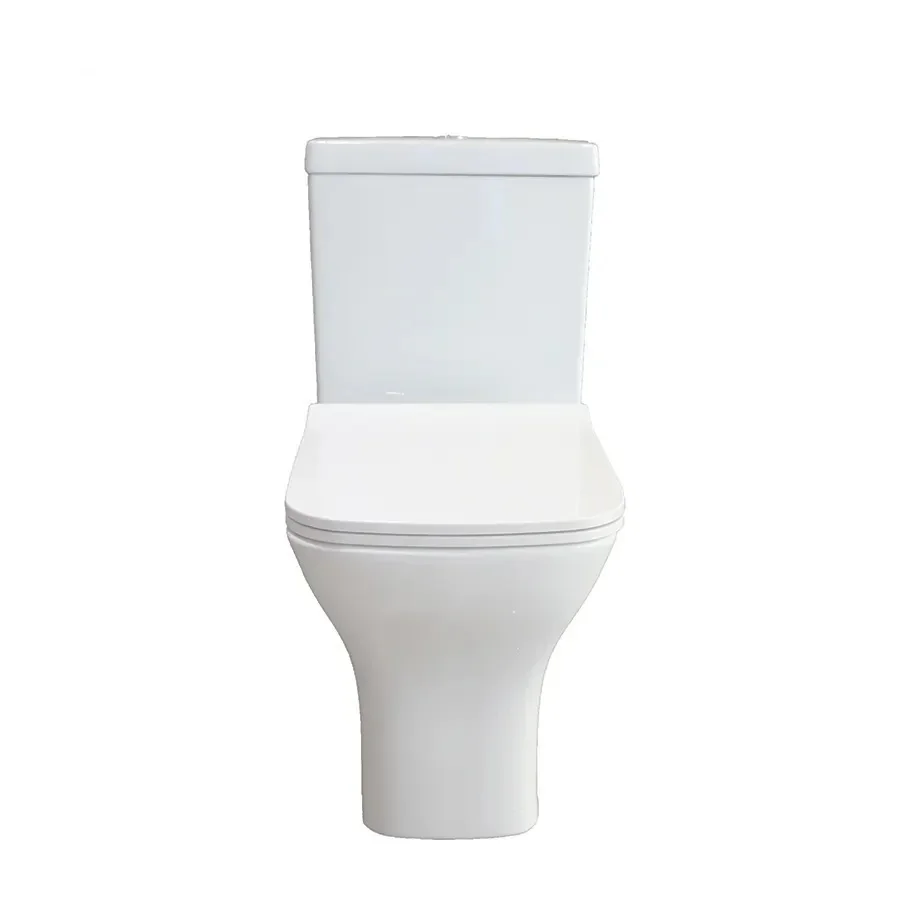 z China sanitary ware  toilet  – Home Bathroom Ware Bewertung und Preis