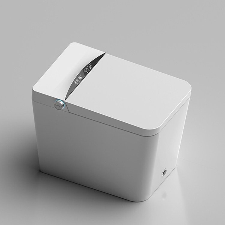 Floor Mounted Smart Toilet, CU – Home Bathroom Ware Bewertung und Preis