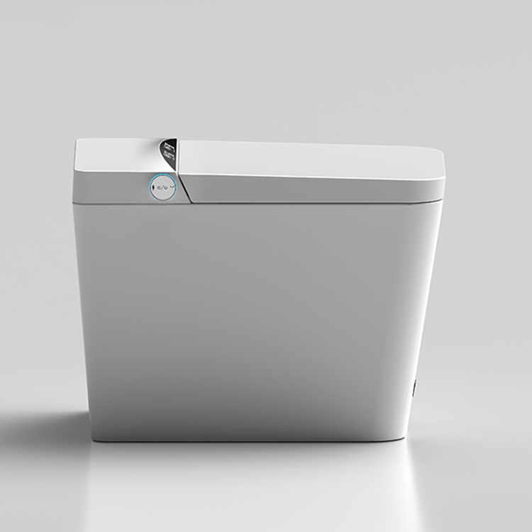 Floor Mounted Smart Toilet, CU – Home Bathroom Ware Bewertung und Preis